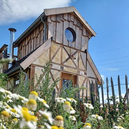 La Cabane Du Coing Vise Ngoại thất bức ảnh