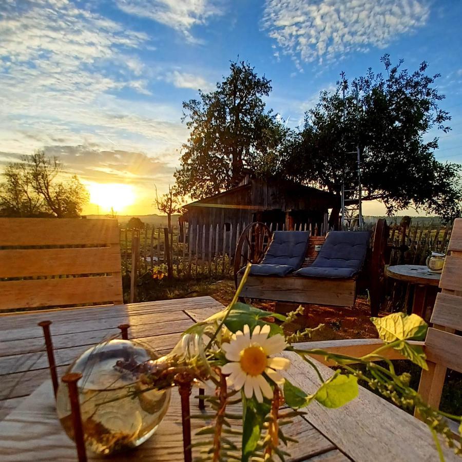 La Cabane Du Coing Vise Ngoại thất bức ảnh
